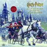 Harry Potter julekalender